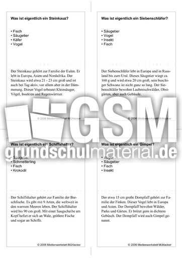 Quiz-Karten-Tiernamen 72.pdf